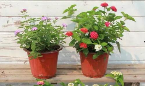 水星新闻爆料视频大全最新,揭秘最新热点事件  第3张